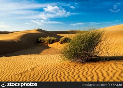 Sam Sand dunes of Thar Desert under beautiful sky. Rajasthan, India. Sand dunes in desert