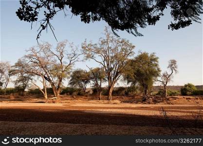 Samburu National Reserve in Kenya