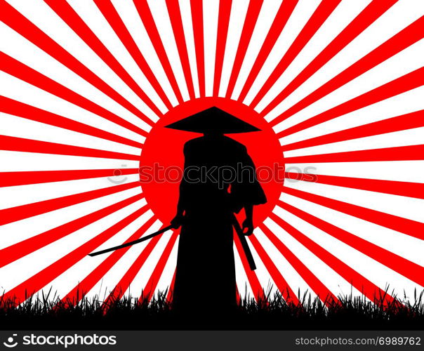 Samurai fighter with Katana on the grass meadow in the background flag of the rising sun / Japan, Japanese