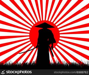 Samurai fighter with Katana on the grass meadow in the background flag of the rising sun / Japan, Japanese