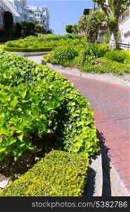 San Francisco Lombard Street gardens in California USA