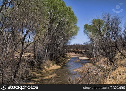 San Pedro River