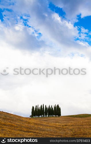 San Quirico, d&rsquo;Orcia, Tuscany. A group of cypresses just before the storm arrival