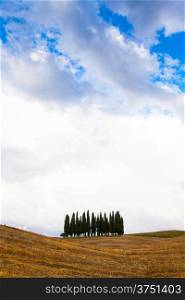 San Quirico, d&rsquo;Orcia, Tuscany. A group of cypresses just before the storm arrival