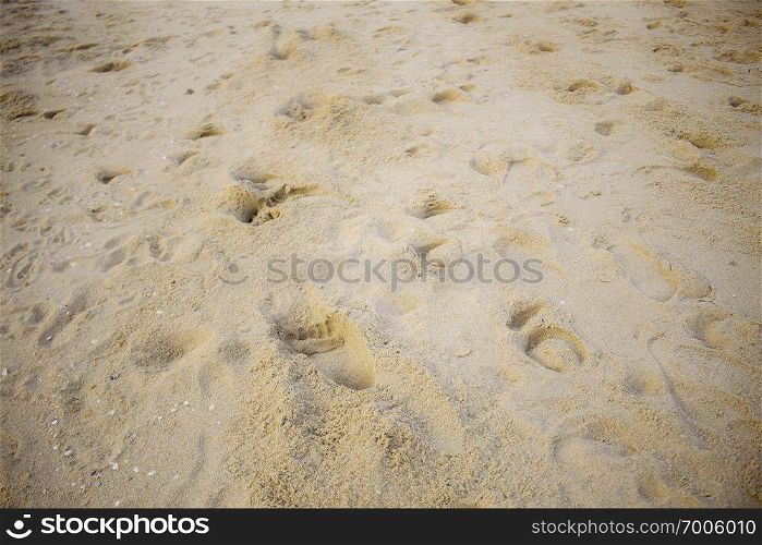 Sand and footprints on the beach with background.
