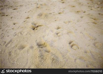 Sand and footprints on the beach with background.