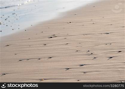 Sand and rocks along Hampton seashore