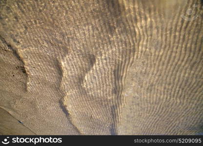 sand and the beach abstract thailand kho tao bay of a wet in south china sea