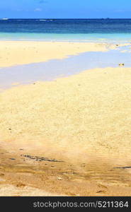 sand and the beach abstract thailand kho tao bay of a wet in south china sea