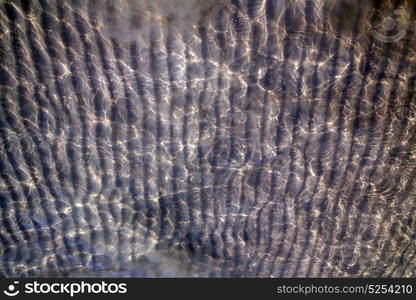 sand and the beach abstract thailand kho tao bay of a wet in south china sea