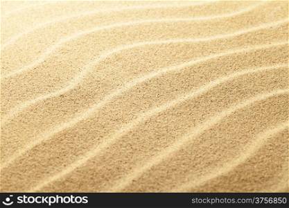 Sand background close up view. Focus on center