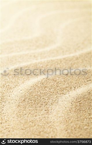Sand background for summer. Sandy beach texture. Macro shot. Copy space