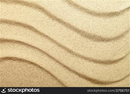 Sand background. Sandy beach texture. Top view