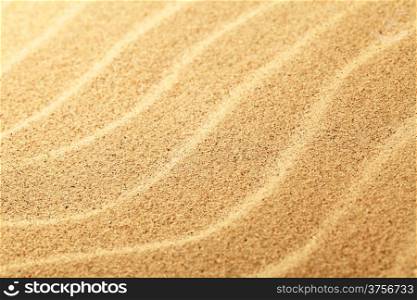Sand background. Sunny summer beach close up view