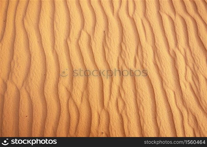 Sand background texture. Nature design.