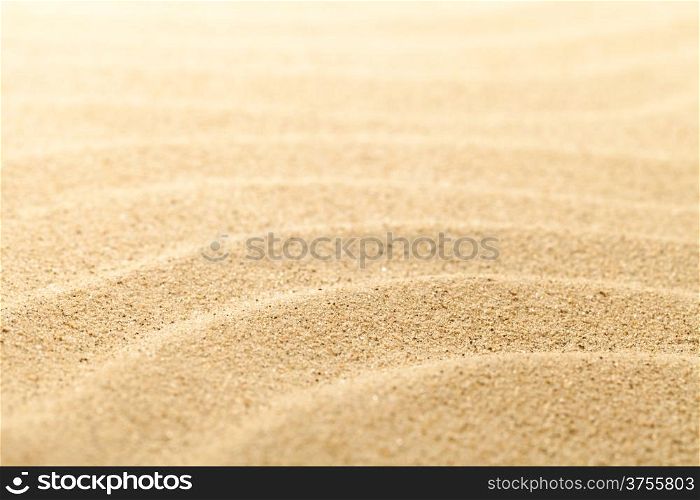 Sand beach background for summer composition. Sand texture. Macro shot