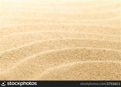 Sand beach background for summer composition. Sand texture. Macro shot