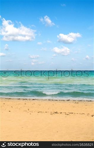 Sand beach on the bright summer day