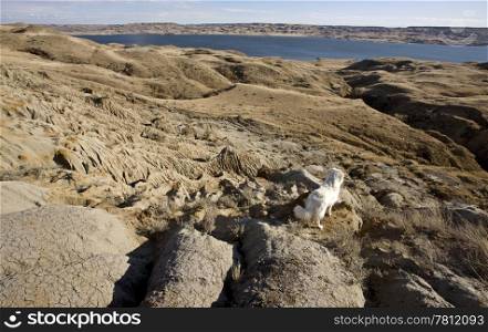 Sand Castles of Diefenbaker Lake Saskatchewan Badlands
