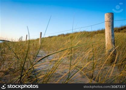Sand dune and fence on a beach at sunset. Re Island, France. Sand dune and fence on a beach at sunset. Re Island