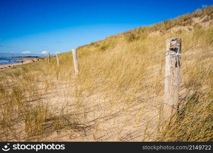 Sand dune and fence on a beach, Re Island, France. Blue sky background. Sand dune and fence on a beach, Re Island, France