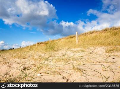 Sand dune and fence on a beach, Re Island, France. Blue sky background. Sand dune and fence on a beach, Re Island, France