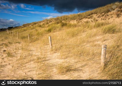 Sand dune and fence on a beach, Re Island, France. Cloudy background. Sand dune and fence on a beach, Re Island, France