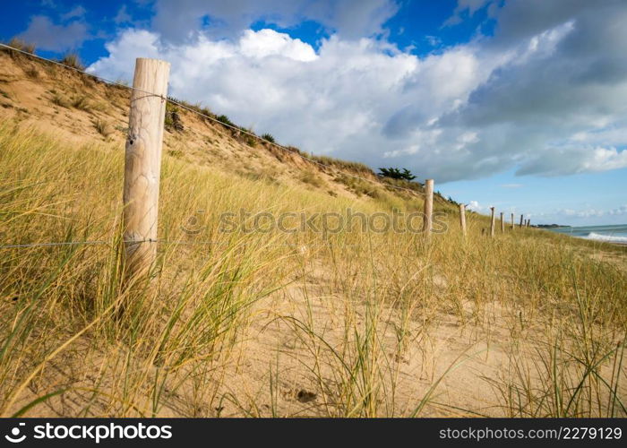 Sand dune and fence on a beach, Re Island, France. Cloudy background. Sand dune and fence on a beach, Re Island, France