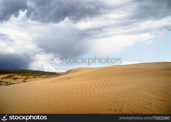 Sand dune in a desert with dark clouds coming in over the dry land