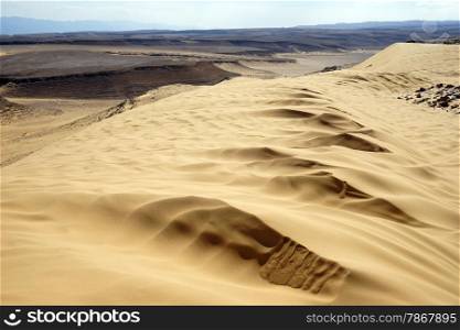 Sand dune Kasui in Negev desert, Israel