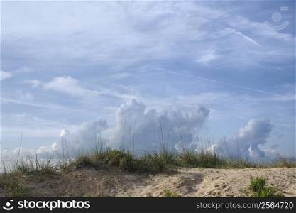 Sand dune with beach grass and cloudy sky.