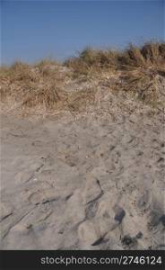 sand dune with grass near a Greek beach (gorgeous blue sky)