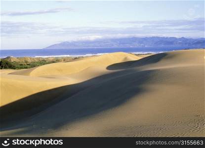 Sand Dunes Along Coast