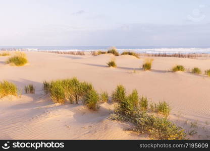 Sand dunes and ocean at sunny morning. Beautiful summer landscape with ocean view