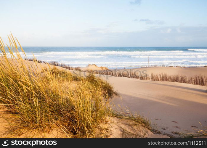 Sand dunes and ocean at sunny morning, Pensacola, Florida.