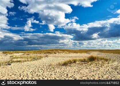 Sand dunes at Cape Cod, Massachusetts, USA.