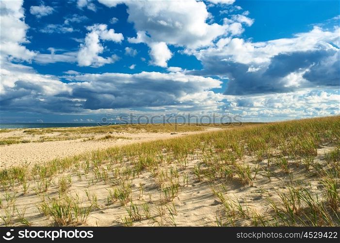 Sand dunes at Cape Cod, Massachusetts, USA.
