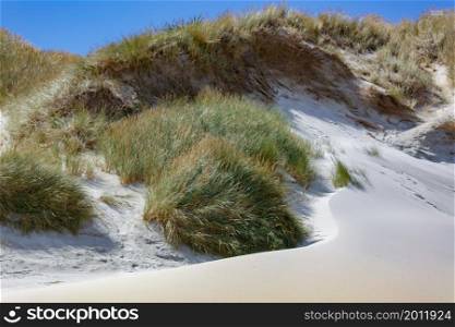Sand dunes at Sandfly Bay in New Zealand