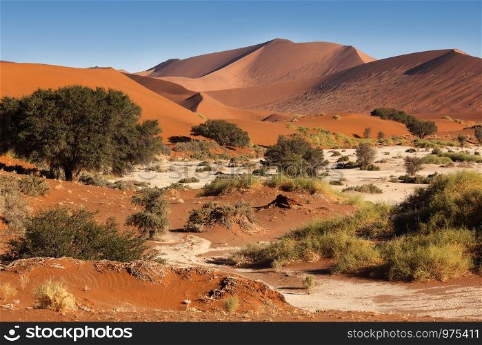 Sand Dunes at Sossusvlie in Namib-nuakluft National Park in the Namib Desert, Namibia.