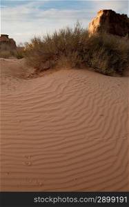 Sand dunes in a desert, Glen Canyon National Recreation Area, Glen Canyon Dam, Arizona-Utah, USA