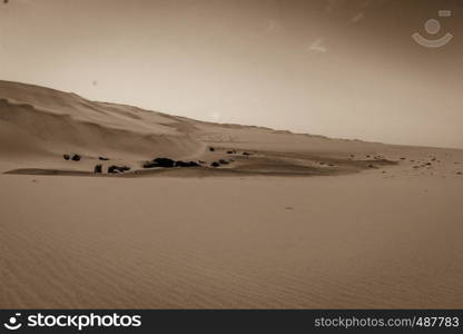 Sand dunes in black and white in the Namib desert, Namibia.