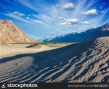 Sand dunes in Nubra valley in Himalayas. Hunder, Nubra valley, Ladakh. Sand dunes in mountains