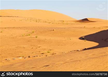 , Sand dunes in the desert