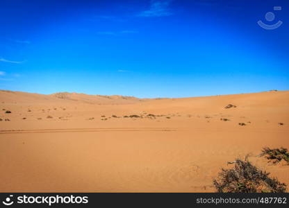 Sand dunes in the Namib desert, Namibia.