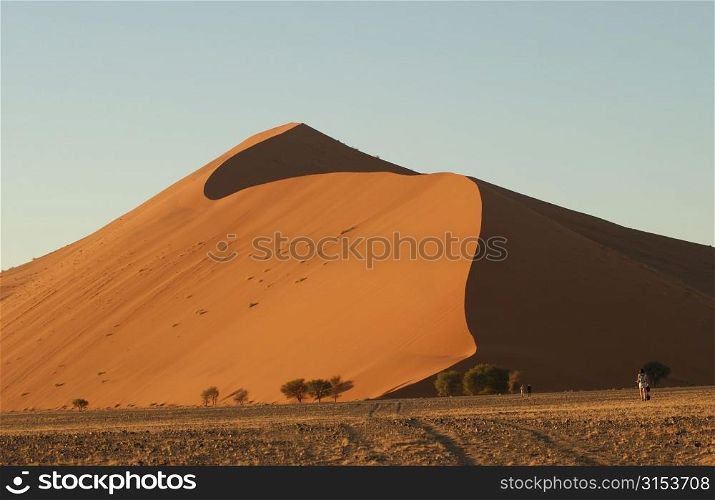 Sand Dunes - Namibian Desert