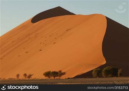Sand Dunes - Namibian Desert