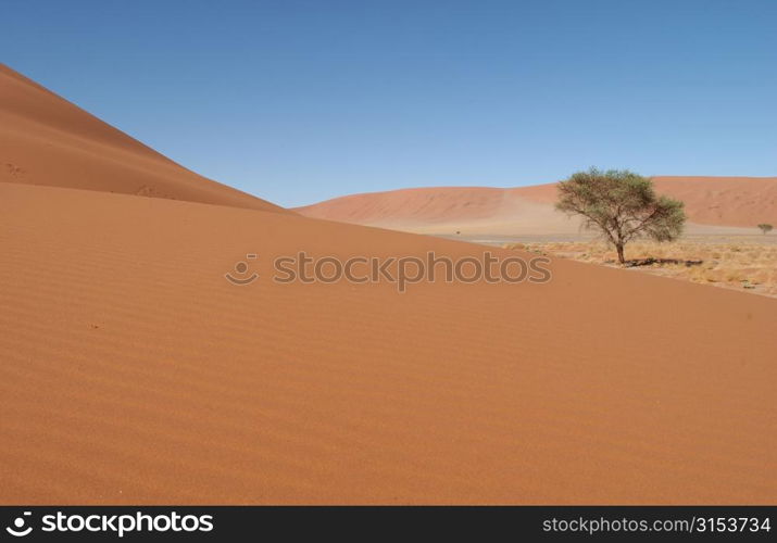 Sand Dunes - Namibian Desert