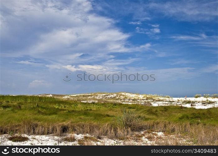 Sand dunes near the ocean in Florida