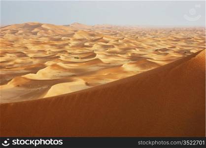 sand dunes of the arabian desert at sunset