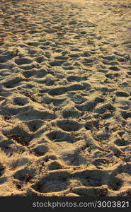 sand dunes on beach